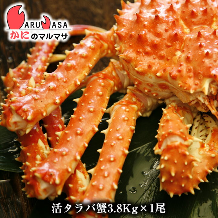 楽天市場 活タラバガニ 3 8kg 北海道 紋別産 活たらばがに 楽天ランキング入賞 タラバ蟹部門ランクイン あす楽 カニ通販 ギフト かにのマルマサ 北海道