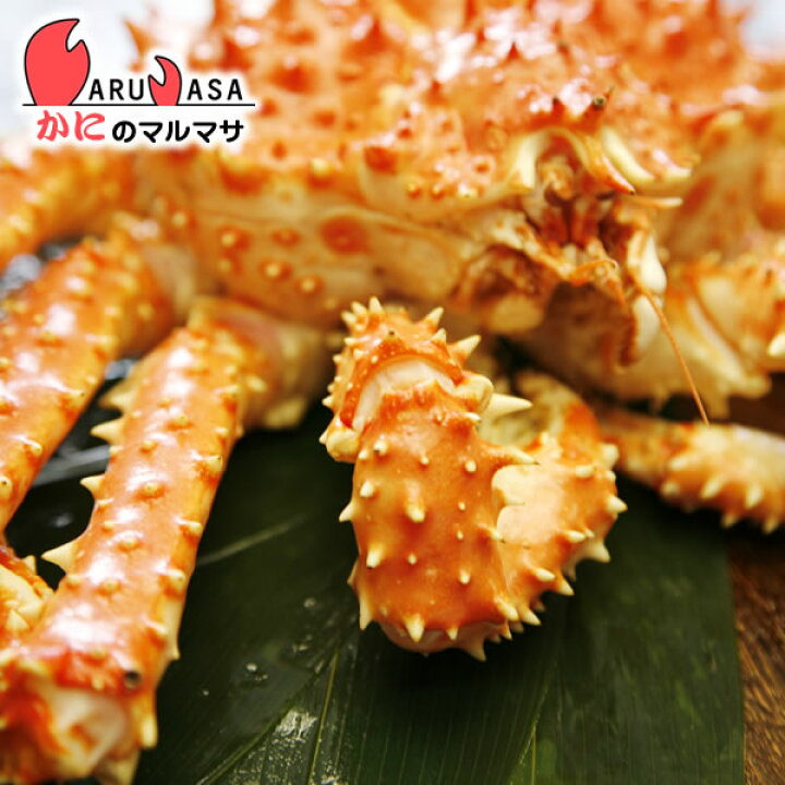 楽天市場 活タラバガニ 1 8kg 北海道直送 活たらばがに 楽天ランキング入賞 タラバ部門ランクイン あす楽 カニ通販 ギフト かにのマルマサ 北海道