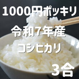 1000円 ポッキリ 令和7年度 埼玉県産 コシヒカリ 白米 3合 全国一律送料無料 お米 ごはん white rice
