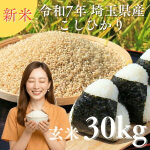 �ۑ��y�R�V��30�z�V�� �ߘa7�N�Y ��ʌ��Y �R�V�q�J�� ���� 30kg (30kg1��) �������� ������������ brown rice �Y�n�����I