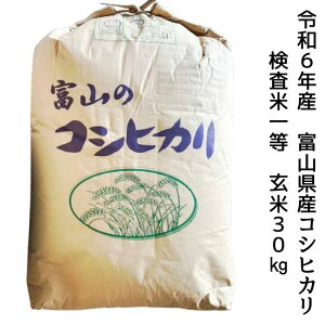 ۑyxRRV30zߘa6Nx xRY Ĉꓙ RVqJ  30kg (30kg1) 嗱ā@