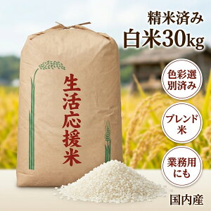�ۑ� ���������� �R�X�p�� ���� 30kg 30�L�� ����30�L�� ��30�L�� ���� �� �u�����h�� �����Y �F�ʑI�ʍς� ���čς� ���� �ƒ�p �Ɩ��p�� ��Ƒ� �Y�n���� �������ā@�y�R�X�p30�z