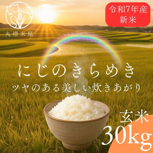 ۑyɂ̂߂30z 30kg  V ߘa7NY ʌY ɂ̂߂ ߂ 30L   Ƒ Ɩp Yn  Â 嗱 