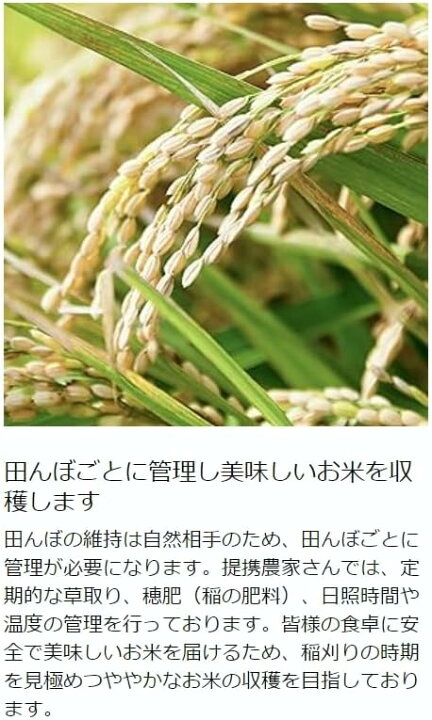 楽天市場】丸増【コシ玄30】新米 令和7年産 埼玉県産 コシヒカリ 玄米 