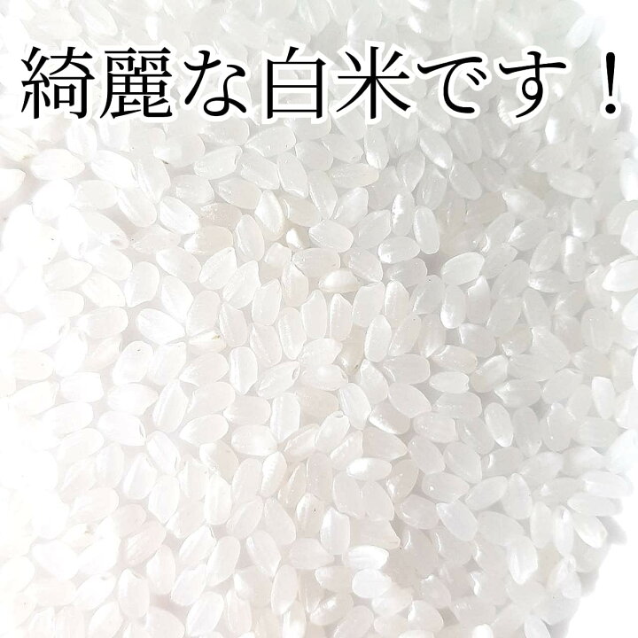 楽天市場】丸増【コシ玄30】新米 令和7年産 埼玉県産 コシヒカリ 玄米 