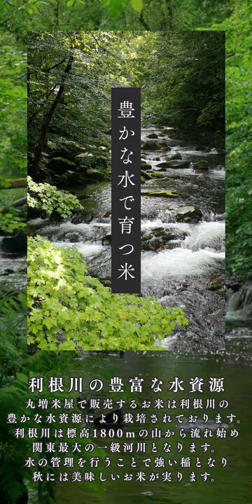 楽天市場】丸増【コスパ10】中粒米 新米 令和7年産 埼玉県産 