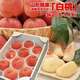 【予約】 送料無料 ギフト 山形の白桃　(品種おまかせ) 3kg (8-14玉) グルメ大賞 山形 桃 モモ もも momo はくとう 白桃 産直 ご贈答 楽ギフ_のし 楽ギフ_のし宛書 楽ギフ_メッセ入力