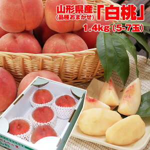 X[p[Z[ԒʉiII9͓XSi10{I\ {̉ʕ  Mtg R`Yuvi킨܂1.4kg(5-7) R`   Yn O yMt_̂ yM