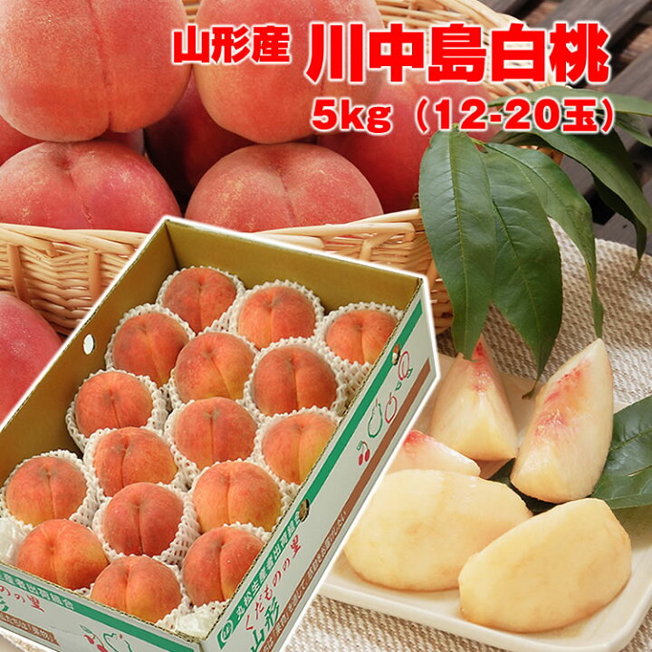 楽天市場】送料無料 ギフト 山形県産白桃 「川中島白桃」5kg（12-20玉 