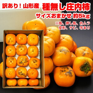 L R`Y `u˂Ȃ`v5kgiTCYʐ܂j R` ` JL ˂Ȃ j kaki Y