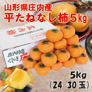 X10͂[ƑSiyV|Cg5{IMtg y\z R`Y `u˂Ȃ`v5kgi24-30ʁj R` ` 2il JL ˂Ȃ j kaki Y  Mtg yM