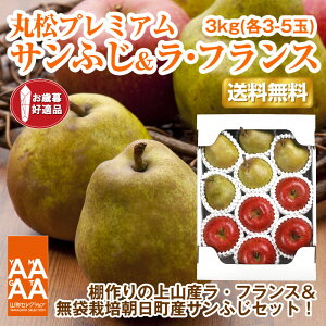 yMtgzyzRYEtXYTӂ3kgie4-5ʋlj R`  ь Tӂ tX m m ringo Y  Mtg yMt_̂ yMt_