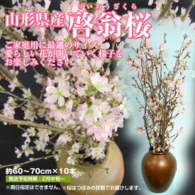 楽天市場 桜 花束 切花 花 観葉植物 花 ガーデン Diyの通販 楽天市場 桜 花束 切花 花 観葉植物 花 ガーデン Diyの通販