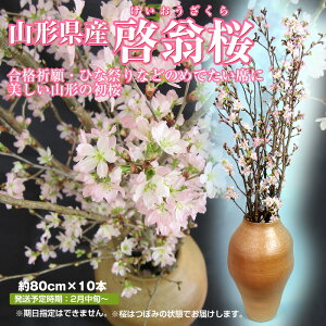 桜 生花の人気商品 通販 価格比較 価格 Com