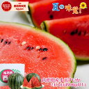 お買い物マラソン 期間中 当店全商品ポイント5倍！予約 送料無料 山形産 小玉すいか 2玉（1玉約1.8kg以上） 山形 小玉 スイカ 露地 産直 ご贈答 お中元 西瓜 楽ギフ_のし 楽ギフ_のし宛書 楽ギフ_メッセ入力