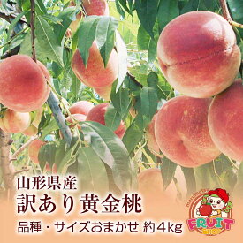 【送料無料】【訳あり】エントリーでポイント5倍！【数量限定】山形県産「黄金桃」（黄桃）品種、サイズおまかせ　約4kg ※傷、変形、着色不良、未熟等あり 【お一人様1箱まで】 【白桃との同梱不可】 【 沖縄・一部離島は受付不可 】 自家用 もも おうごんとう グルメ大賞