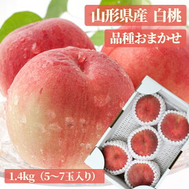 旬の果物♪ 送料無料 ギフト 山形産「白桃」品種おまかせ1.4kg(5-7玉) 山形 白桃 桃 産地直送 グルメ大賞 楽ギフ_のし 楽ギフ_のし宛書 楽ギフ_メッセ入力