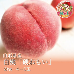 ���������@�d�����@�R�`���Y �����u�d�������v2kg�i4-6�ʁj ���� �͂��Ƃ� ���� �O������� �y�M�t_�̂� �y�M�t_�̂����� �y�M�t_���b�Z���� �d��