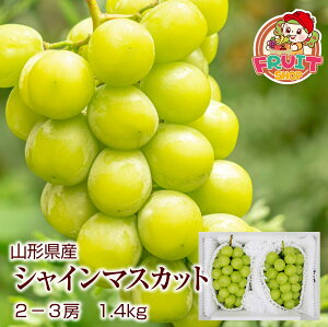 X9͂[ƑSi10{I\ @Mtg@R`Y嗱ԂǂuVC}XJbgv1.4kg(2-3[) 햳 uhE R`  Ԃǂ Y  budo yMt_̂ yMt_