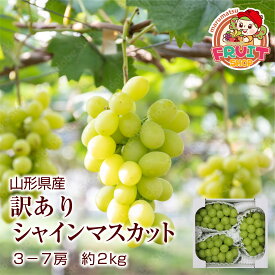 旬の果物♪ 送料無料訳あり山形産大粒ぶどう「シャインマスカット」 約2kg 3-7房入り 訳あり品：粒抜け キズ サビ 黄ばみ バラツキ 脱粒 等有 種無し ブドウ 山形 葡萄 ぶどう 産直 budo