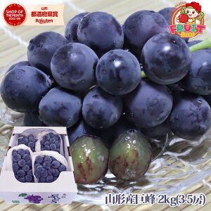 yOszX9͂[ƑSi10{I@Mtg@R`Y嗱Ԃǂ  2kg(3-5[) R`  Ԃǂ uhE 嗱 Y  budo yMt_̂ yMt_̂ yMt_b