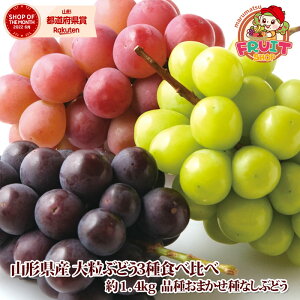 X[p[Z[ԒʉiII9͓XSi10{I\ @R`Y嗱Ԃǂ3Hה1.4kg R`  Ԃǂ 嗱 Y  budo yMt_̂ yMt_̂ y