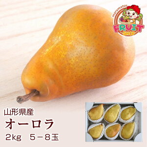 X[p[Z[ԒʉiII9͓XSi10{I{̉ʕ ʌ著MtgR`YmuI[v2kg(5-8)I[ R` m 悤Ȃ  H׍ Y 