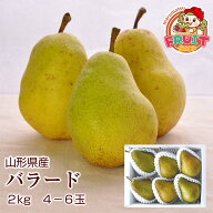 【予約】旬の果物♪ 送料無料ギフト山形県産西洋梨「バラード」約2kg(4-7玉) バラード 山形 西洋梨 よう…