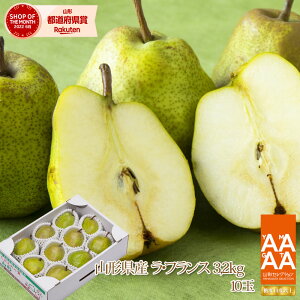 送料無料 山形県産洋梨「ラ・フランス」3.2kg(10玉) 山形 山形セレクション 西洋梨 ラフランス ようなし younasi 産直 贈答 ギフト 楽ギフ_のし