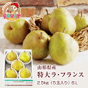 11月はエントリーして最大100％ポイント還元抽選！マラソン期間中は最大1000円offクーポンも！ギフト 送料無料 山形県産洋梨「ラ・フランス」特大2.5kg（5玉入）6Lサイズ 数量限定 山形 西洋梨 ラフランス ようなし 産直 ご贈答 山形セレクション認定 楽ギフ_のし