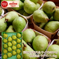 【予約】11月より発送 送料無料 訳有り 山形県産 ラ・フランス 約5kg(サイズおまかせ) 西洋梨 ラフランス…
