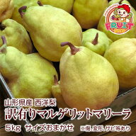 【予約】予約 送料無料 訳あり 山形県産 西洋梨「マルゲリットマリーラ」約5kg サイズおまかせ ※傷、変…