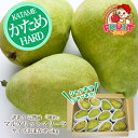 【予約】限定1000箱 予約 送料無料 ご要望にお応えして!! 完熟前！硬い!!ガリガリ!!! 訳あり 山形県産 西洋梨「マルゲ…
