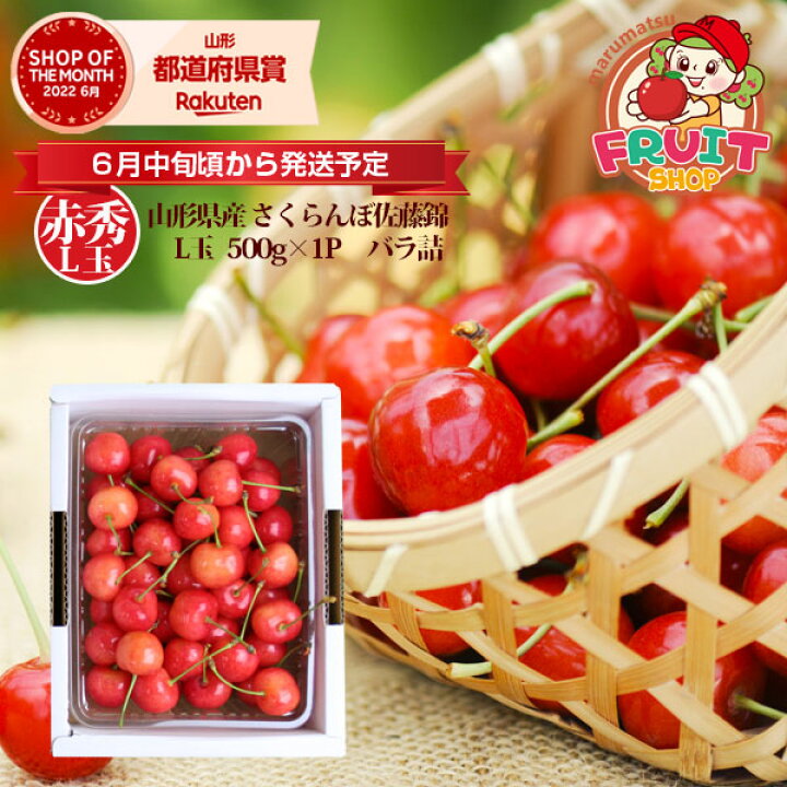 楽天市場】【送料無料】山形産 さくらんぼ 「佐藤錦」500g（500g×1P 