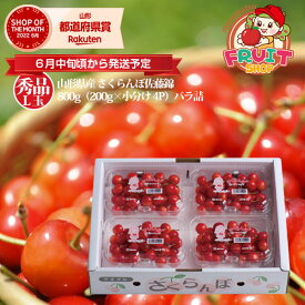 スーパーセール期間中特別価格！限定残り100セットのみ！6月は1ヶ月間ずっとエントリーして当店全商品ポイント10倍！【予約】2026年6月〜発送 送料無料 山形産 さくらんぼ 「佐藤錦」800g（200g×4P）バラ詰　秀品L玉サクランボ 楽ギフ_のし 楽ギフ_のし宛書 楽ギフ