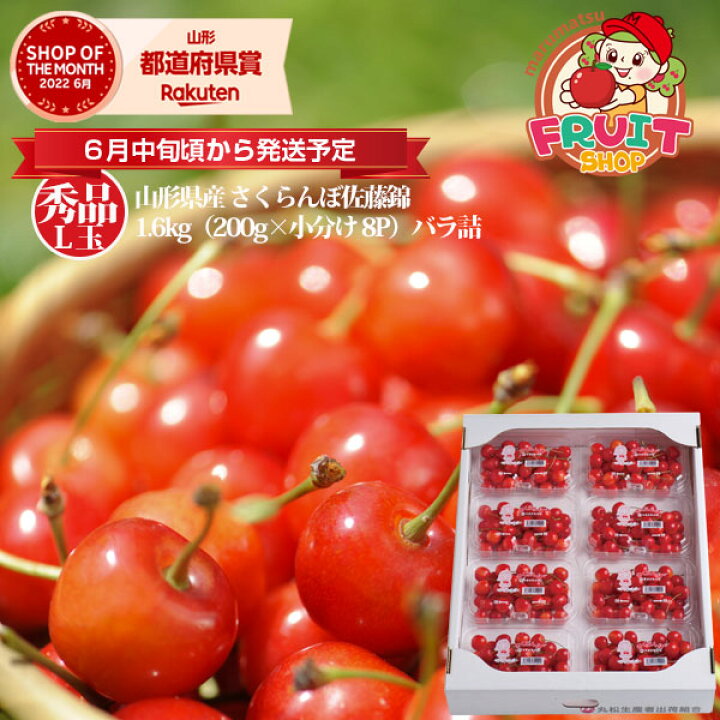 楽天市場】【予約】【送料無料】山形産 さくらんぼ 「佐藤錦」1.6kg 
