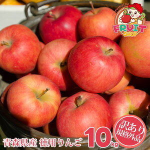 11̓Gg[čő100|CgҌII}\Ԓ͍ő1000~offN[|I\ 500  L XYp񂲁@10kg@TCY܂@KiOi F