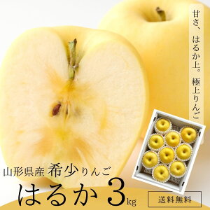 11̓Gg[čő100|CgҌII}\Ԓ͍ő1000~offN[|IMtg 100Zbgy\z R`Y ͂邩 3kgi6-10ʁj R`  