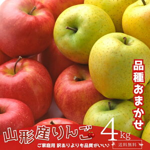 送料無料 山形県りんご 品種おまかせ 約4kg サイズおまかせ 山形の寒暖差が育てた香りまで甘い山形のりんご♪ご家庭用 贈答にも 王林 ぐんま名月 高徳 ジョナゴールド 秋映