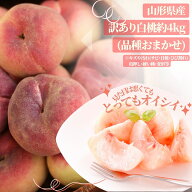 【予約】お一人様1箱まで訳あり数量限定山形県産「白桃」品種、サイズおまかせ　約4kg ※傷、変形、着色…