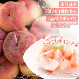 お買い物マラソン 期間中 当店全商品ポイント5倍！予約 訳あり数量限定山形県産「白桃」品種、サイズおまかせ　約4kg ※傷、変形、着色不良、未熟等あり 沖縄・一部離島は受付不可 自家用 もも はくとう グルメ大賞