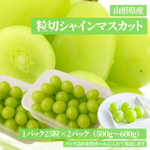 X9͂[ƑSi10{I\  󂠂  VC}XJbg R`Y Ȃ嗱Ԃǂ 20`30 2pbN 400~450g ptFEW[XEَqɍœKI ؂炻̂