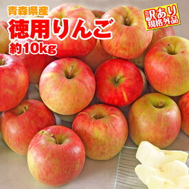 楽天市場 りんご 訳あり 10kg 送料無料 品種 りんご サンふじ りんご フルーツ 果物 食品の通販 楽天市場 りんご 訳あり 10kg 送料無料 品種 りんご サンふじ りんご フルーツ 果物 食品の通販