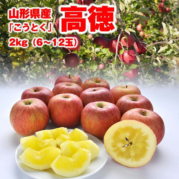 11月上旬発送 先行予約 蜜入り りんご こうとく 高徳 山形県産 約5 7玉入り 約1kg前後 贈答用 リンゴ化粧箱入り ショッピング