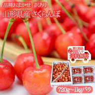 5月はずっとポイント抽選！最大100％バック！更に0のつく日！【予約】2026年6月〜発送 2箱で送料無料♪山…