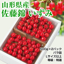 【予約】【ギフト】【山形セレクション認定】山形産 さくらんぼ 「佐藤錦」いずみ 特選 1kg（500g×2P）バラ詰 贈答 山形 佐藤錦 サクランボ 露地 産直 お中元 楽ギフ_のし 楽ギフ_のし宛書 楽ギフ_メッセ入力