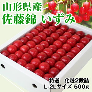 佐藤錦 500gの人気商品 通販 価格比較 価格 Com