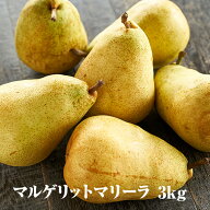 【予約】ギフト送料無料山形県産西洋梨「マルゲリットマリーラ」3kg(5-8玉) マリゲリット 山形 西洋梨 よ…