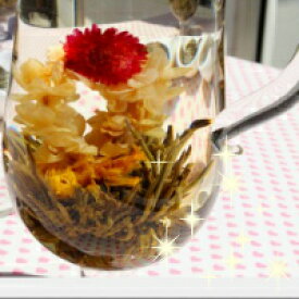 お花の咲く中国茶『囡儿春』お試し5粒お花の咲くお茶飲食店用お得パック中国茶　通販　業務用販売中国茶・台湾茶専門店マルメロ