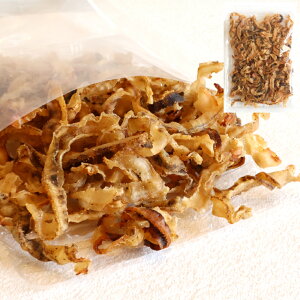 yԌIő10OFFN[|z kCY z^e LЂ Ӟɂɂ 125g 120g 110g  ق ܂  kC   v[g ĊLq  t 󂠂 `